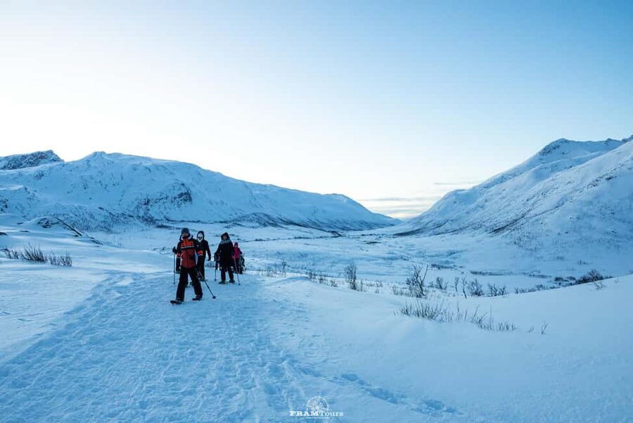 Arctic hike on Kvaløya Island with drinks and snacks - Key highlights at a glance