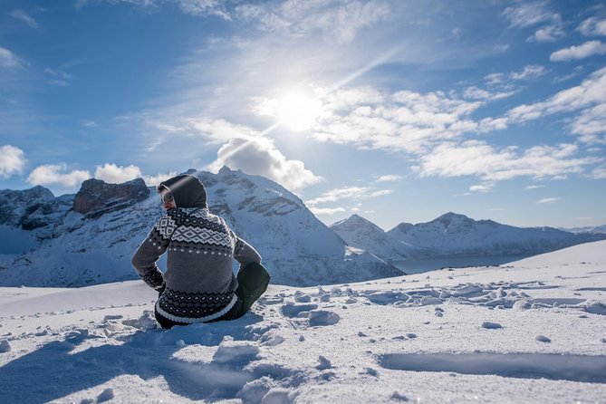 Arctic Nature Photography Sightseeing Tour from Tromso - A Fjord Day Built for Photos Around Tromsø