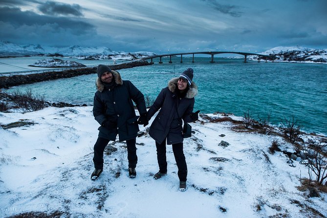 Arctic Nature Photography Sightseeing Tour from Tromso - Wildlife Expectations: From Moose to Seabirds (and Whales in Peak Winter)