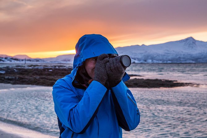 Arctic Nature Tour from Tromsø by minibus - From Magic Ice Bar to Kvaløya: how the day is paced
