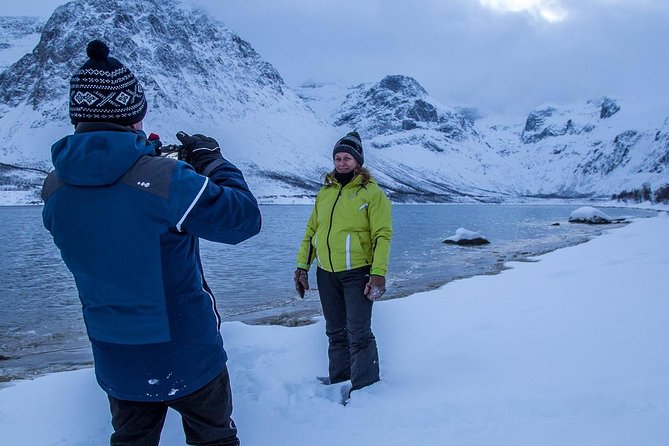 Arctic Nature Tour from Tromsø by minibus - Wildlife chances: reindeer, seals, eagles, and the no-guarantee truth