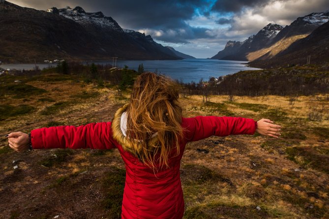 Arctic Nature Tour from Tromsø by minibus - The photo experience: tripods, guide shots, and next-day delivery