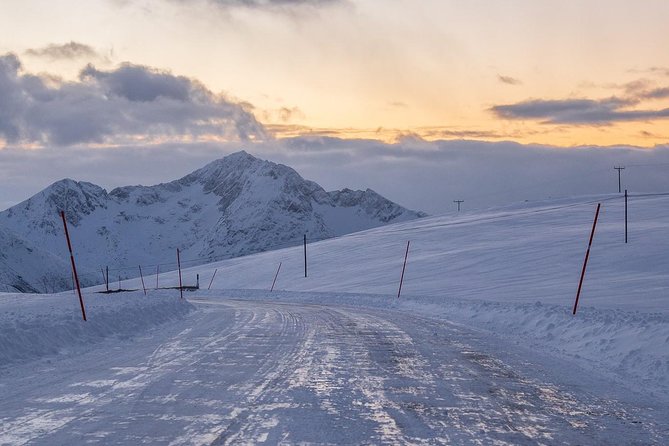 Arctic Nature Tour from Tromsø by minibus - Weather reality: when fog and wind change the day