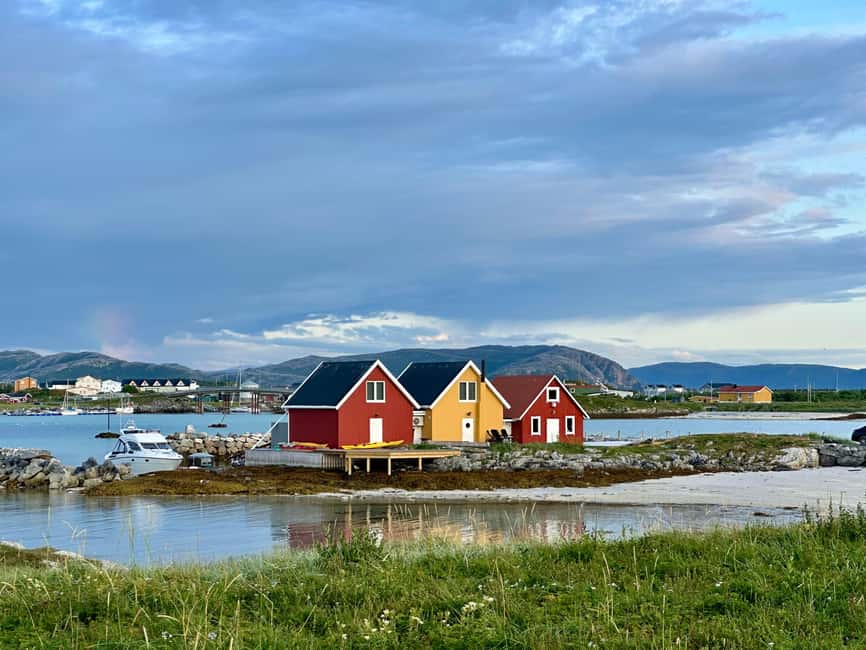 Arctic road trip - day tour. - The real draw: an Arctic road trip built for 3 hours