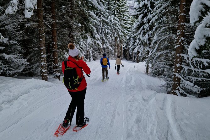 Arctic Snowshoe Hike in Norway - Wildlife moments: how to spot animals without ruining the magic