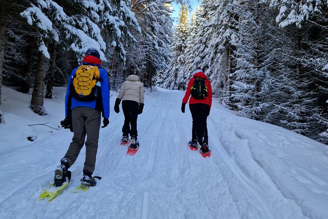 Arctic Snowshoe Hike in Norway - Getting the gear right: snowshoes, poles, and cold-weather habits