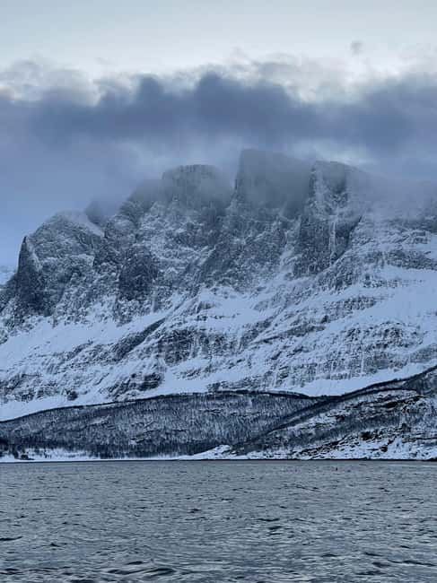 Arctic Whale Watching: Tromsø to Skjervøy in Comfort - Weather reality: warmth helps, but seasickness and rough seas are still a risk