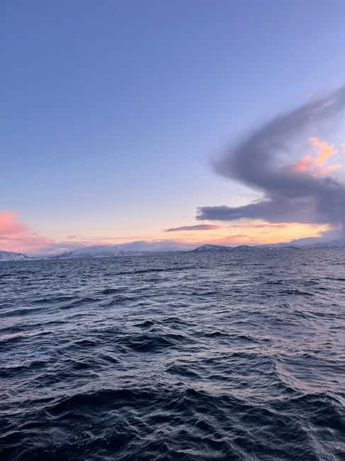 Arctic Whale Watching: Tromsø to Skjervøy in Comfort - Boarding Yacht Leah William: heated comfort, real bathroom access, and snacks