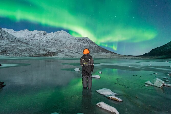 Aurora Hunt with the campfire and professional photographer - How the night runs: Tromsø, then wherever the aurora is behaving