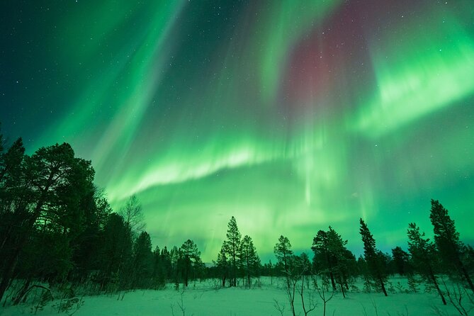 Aurora Hunt with the campfire and professional photographer - Weather wins: what to expect when the sky is cloudy