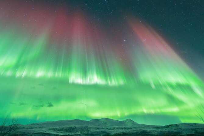 Aurora Hunt with the campfire and professional photographer - Driving farther, spotting aurora, and why group size helps
