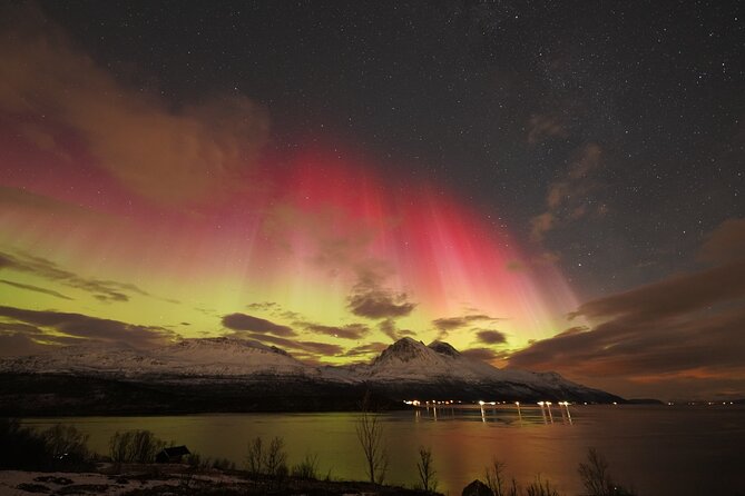 Aurora tour with free portrait and bonfire - Northern Lights With Thermal Gear, Campfire Breaks, and a Free Portrait