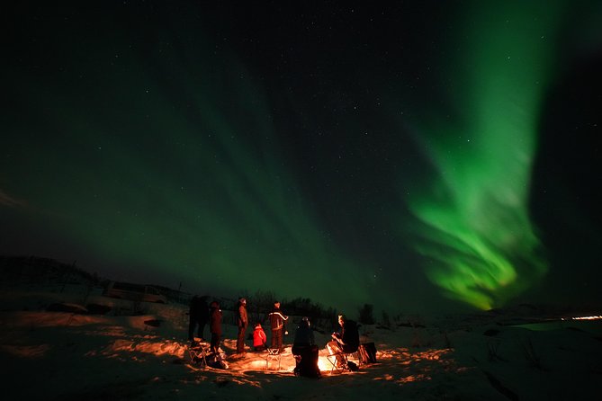 Aurora tour with free portrait and bonfire - Thermal Suits, Hot Drinks, Cinnamon Cake, and Bonfire Marshmallows