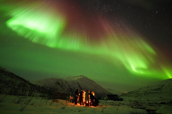 Aurora tour with free portrait and bonfire - Seeing the Lights: What Makes This Tour Feel Worth It