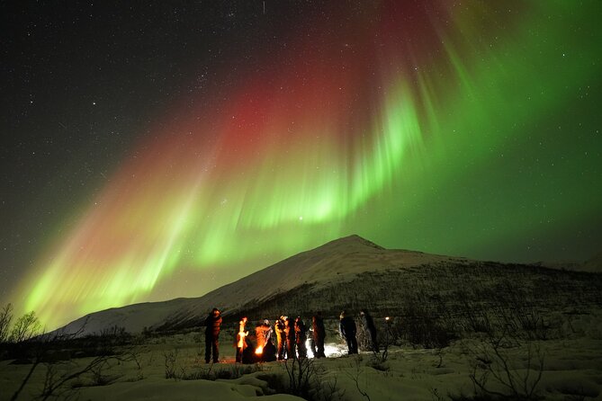 Aurora tour with free portrait and bonfire - Where You Start in Tromsø, and What to Expect After Pickup