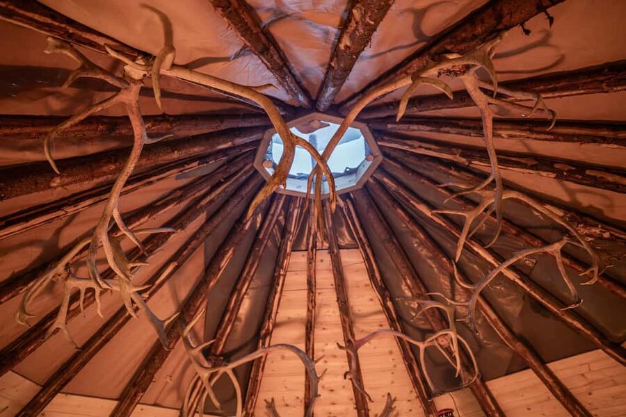 Balsfjord: Reindeer Sledding, Feeding & Sámi Culture - Key highlights you should know