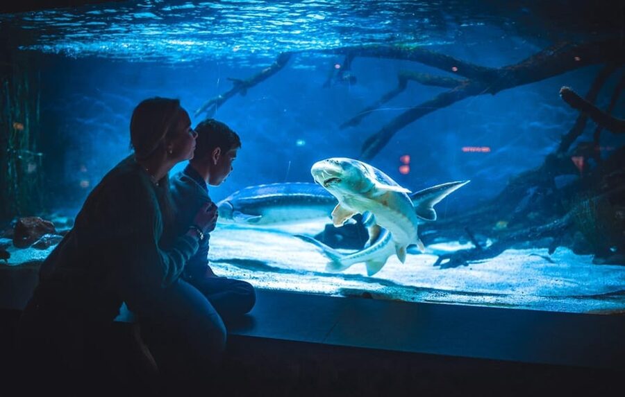 Bergen: Bergen Aquarium Entry Ticket - Key things to know before you go