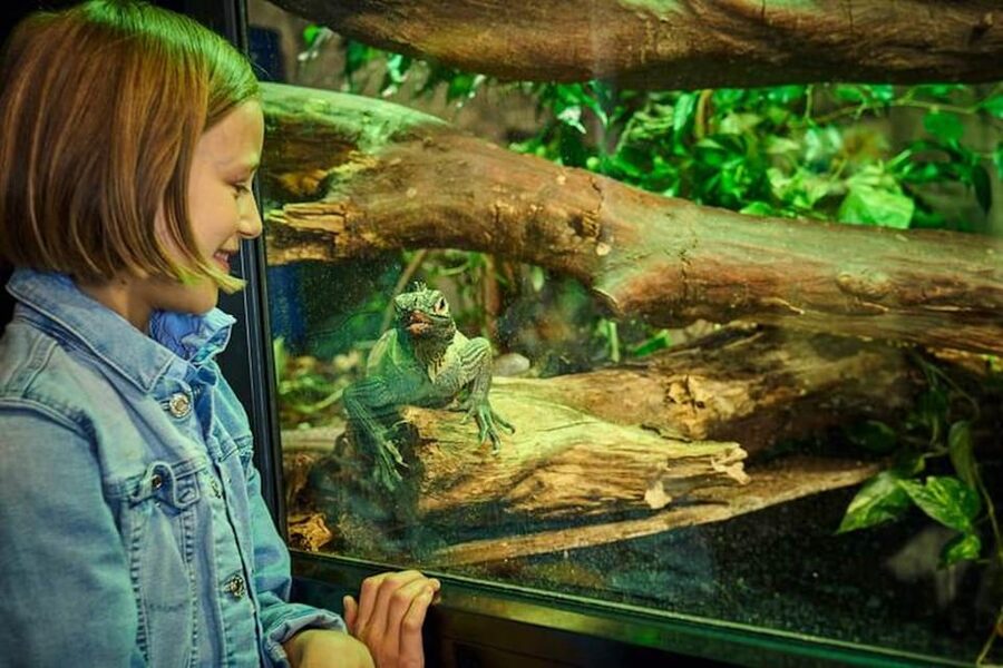 Bergen: Bergen Aquarium Entry Ticket - Price and value: is $40 per person worth it?