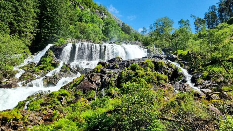 Bergen: Cruise to beautiful Rosendal by the Hardangerfjord - The first leg: passing Bryggen, then settling into fjord views