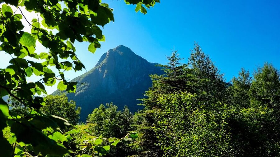 Bergen: Cruise to beautiful Rosendal by the Hardangerfjord - Hatteberg Waterfall walk: the easiest win with big payoff
