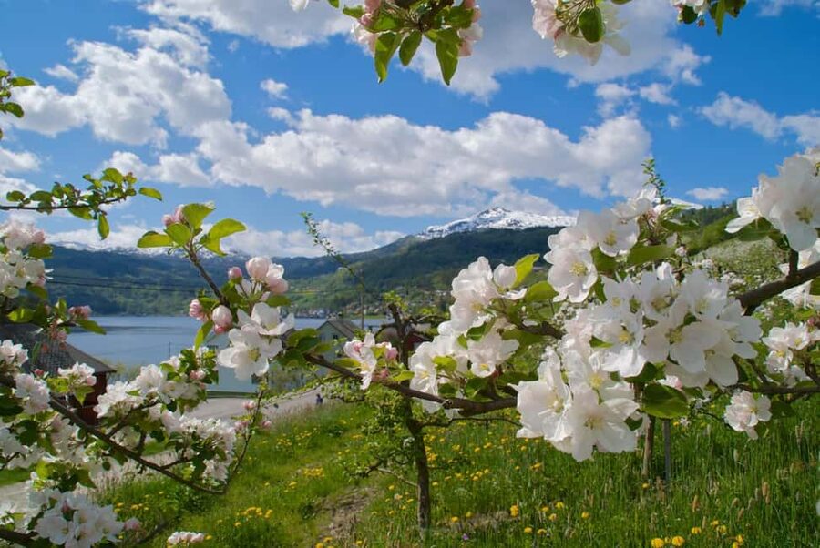Bergen: Easy Hike to Bondhus Glacier Lake & Rosendal Visit - Key moments that make this day trip click