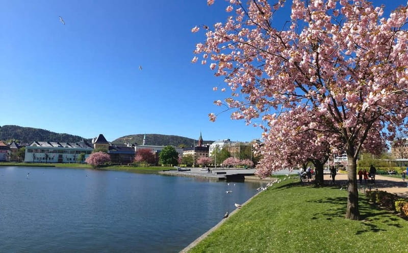 Bergen: Flam Railway, Viking Village Tour with Fjord Cruise - Flåm Village Time: Harbor Walks, Bright Houses, and Real Norwegian Meals