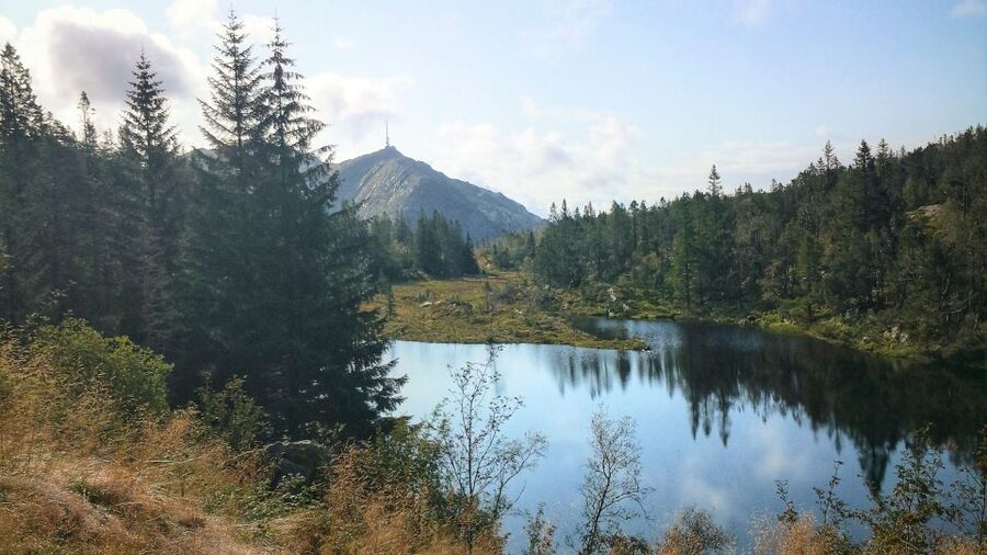 Bergen: Guided mountain hike on top of Bergen - Bergen mountain views without the crowd crush