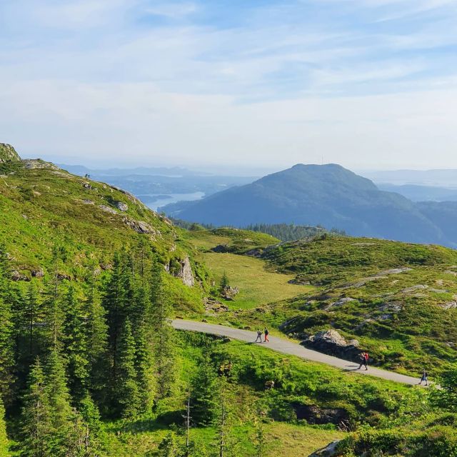 Bergen: Guided mountain hike on top of Bergen - The hike profile: medium effort, 4 to 9 km, 300 to 600 m up