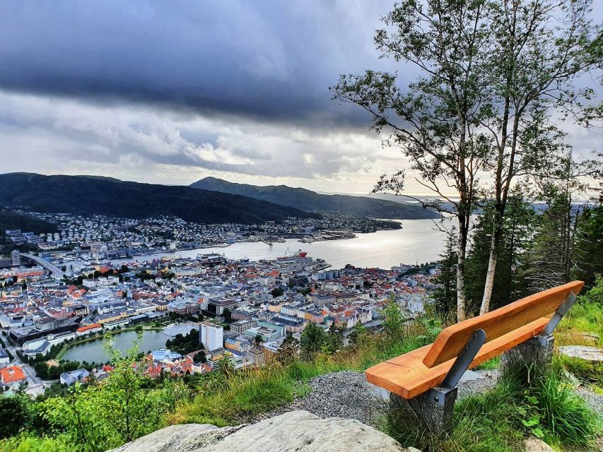 Bergen: Guided mountain hike on top of Bergen - What you learn from a guide, not just what you see