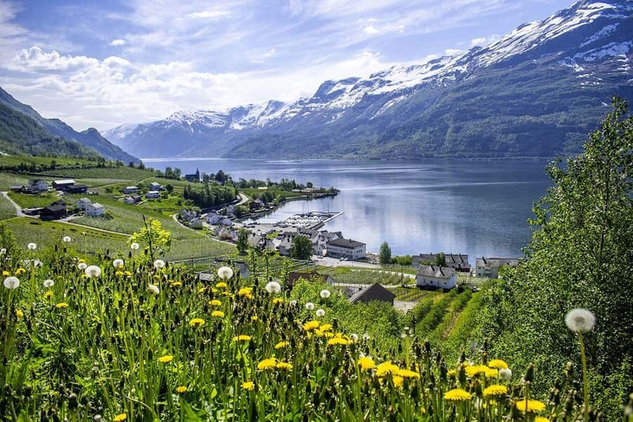 Bergen: Hardangerfjord & Waterfalls Bus Tour with Apple Pie - Guide energy matters, and Maria and Jan make the stories stick