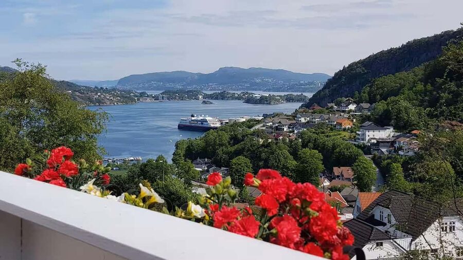 Bergen: Home-Hosted Lunch with a Local - What you actually learn beyond the menu