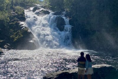 Bergen in a day, Guided tour: Old Town, Waterfalls & Waffles