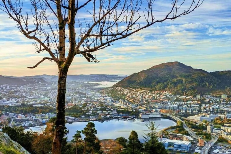 Bergen Like a Local: Culture, Views, and the Stave Church - Key highlights you will actually use in your decision