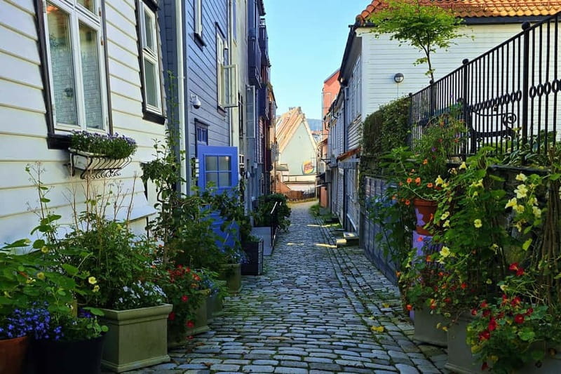 Bergen Like a Local: Culture, Views, and the Stave Church - Finding Bergen’s rhythm at Den blå steinen and the Fish Market