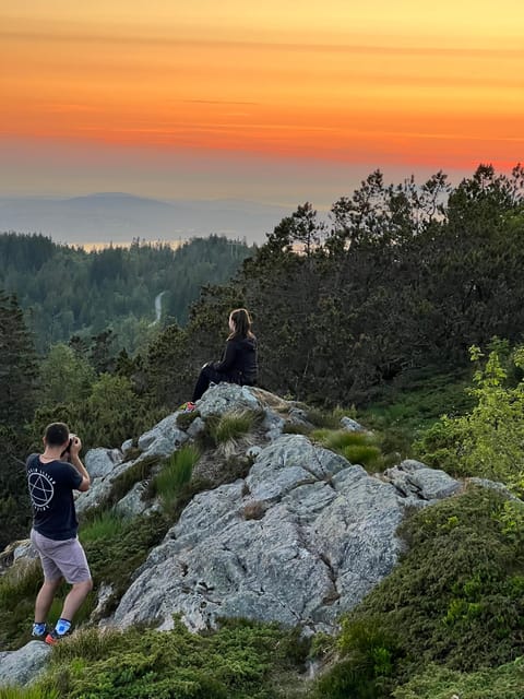 Bergen Magical Nature Tour | ViFlowExperience - Key highlights worth knowing