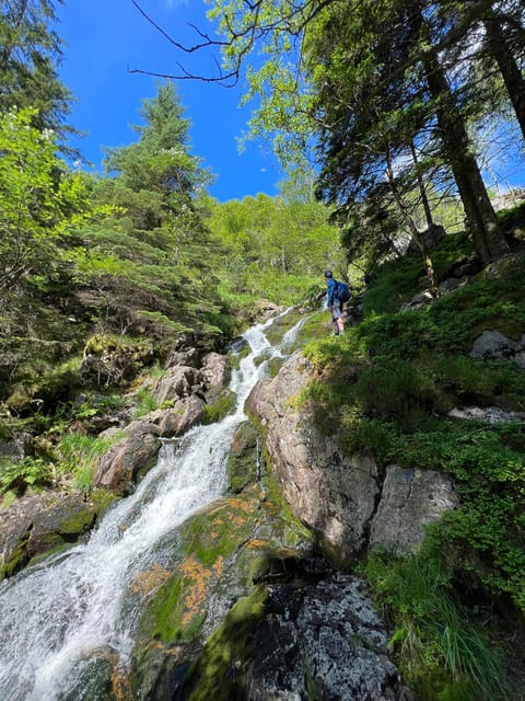 Bergen Magical Nature Tour | ViFlowExperience - What to bring, how to dress, and rules that affect your comfort