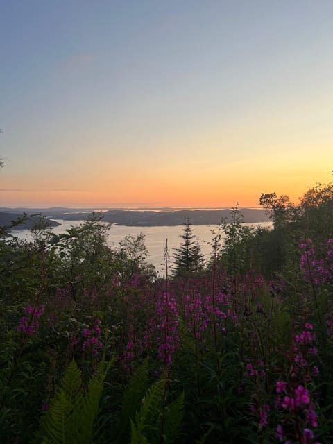 Bergen Magical Nature Tour | ViFlowExperience - Fløyen and the funicular, getting sky views without the grind