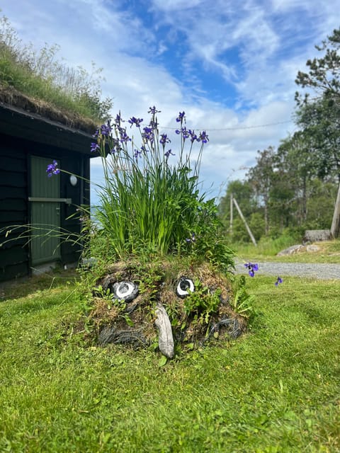 Bergen Magical Nature Tour | ViFlowExperience - Flora, fauna, and local details that make the walk click