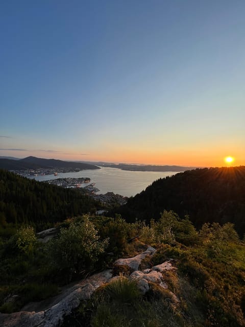 Bergen Magical Nature Tour | ViFlowExperience - Optional sauna with fjord views, plus a Viking-style fjord dip