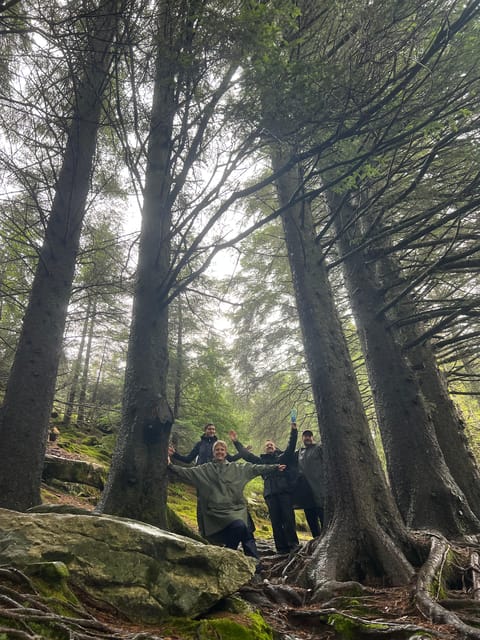 Bergen Magical Nature Tour | ViFlowExperience - Price and what you really get for $251