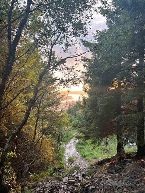 Bergen Magical Nature Tour | ViFlowExperience - Where you start, what the timing feels like, and the flow of the day