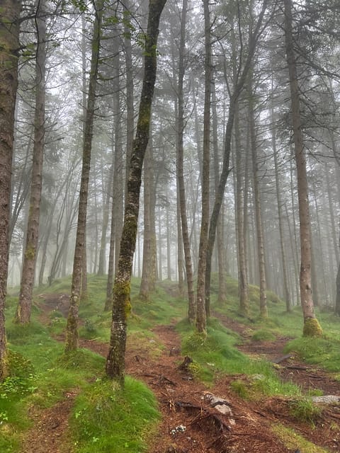 Bergen Magical Nature Tour | ViFlowExperience - Who this tour suits best, and who should rethink it