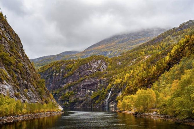 Bergen: Mostraumen Fjord Cruise - Wildlife possibilities on the water and why they feel extra real here