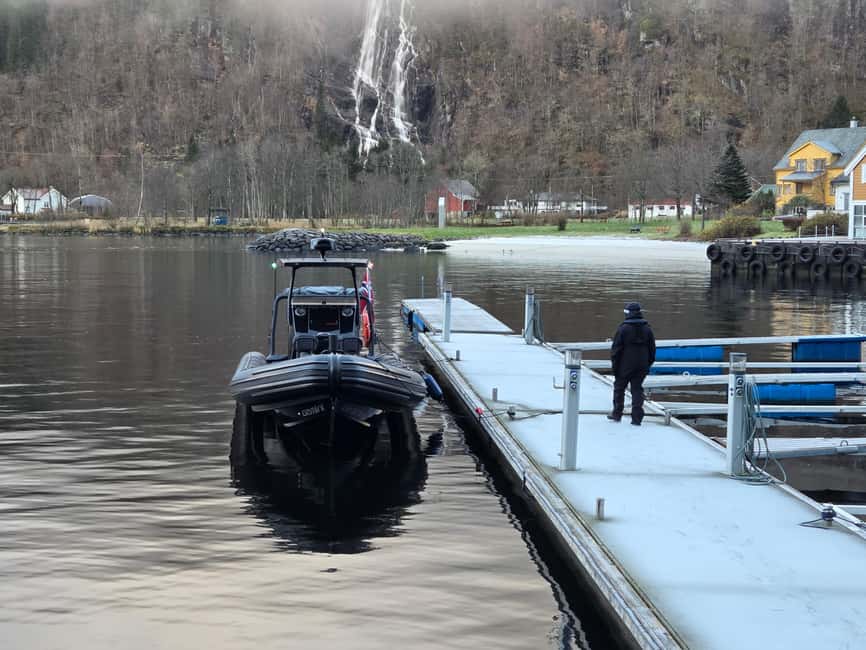 Bergen: Mostraumen Fjord Safari - by Premium RIB Boat - Price and Value: What You’re Really Paying For