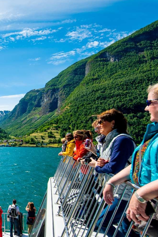 Bergen: Nærøyfjorden, Flåm, and Stegastein Guided Bus Tour - Price and Value: Is $309 Worth It for a Full-Day Fjord Hit?
