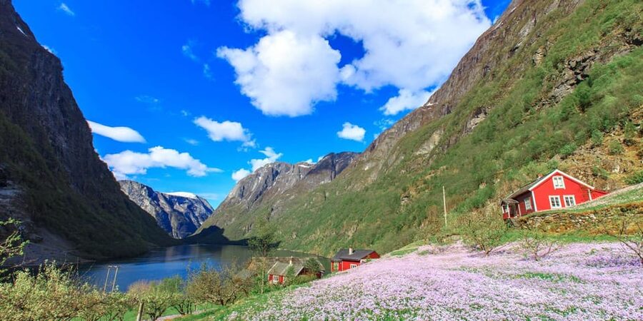 Bergen: Nærøyfjorden, Flåm, and Stegastein Guided Bus Tour - Tvindefossen: One Waterfall Stop, Real Scale (and Admission Included)