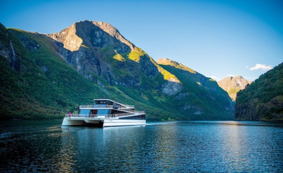 Bergen: Private Day Tour, Nærøyfjord Cruise and Flåm Railway - Price and Value: When This Day Feels Like a Smart Splurge
