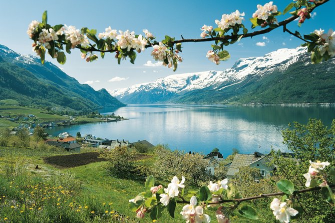 Bergen: Private Full-Day Roundtrip to Hardangerfjord with cruise - Hardangerfjord Cruise, Eidfjord, Ulvik, and Then the Bridge