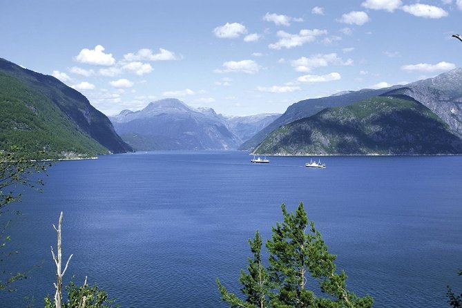 Bergen: Private Full-Day Roundtrip to Hardangerfjord with cruise - Who Should Book This (and Who Might Prefer Another Style)