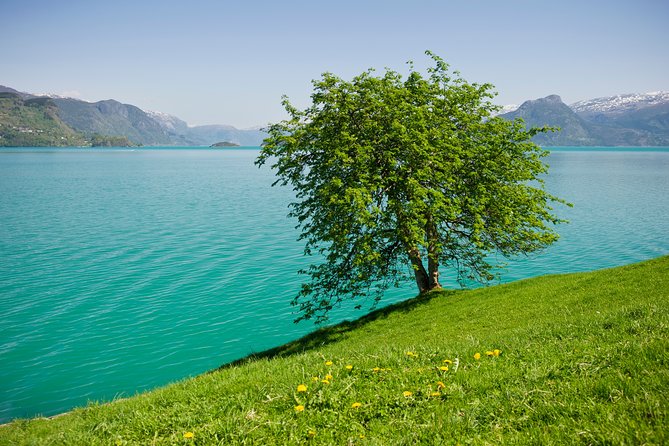 Bergen: Private Full-Day Roundtrip to Hardangerfjord with cruise - Fossen Bratte, Steinsdalsfossen, and the Goldfish Lore at Skåsvatnet